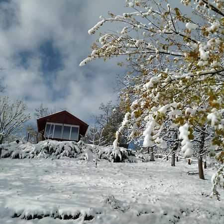 Holiday Home Nanin Konak 2 Vrdnik Exteriör bild