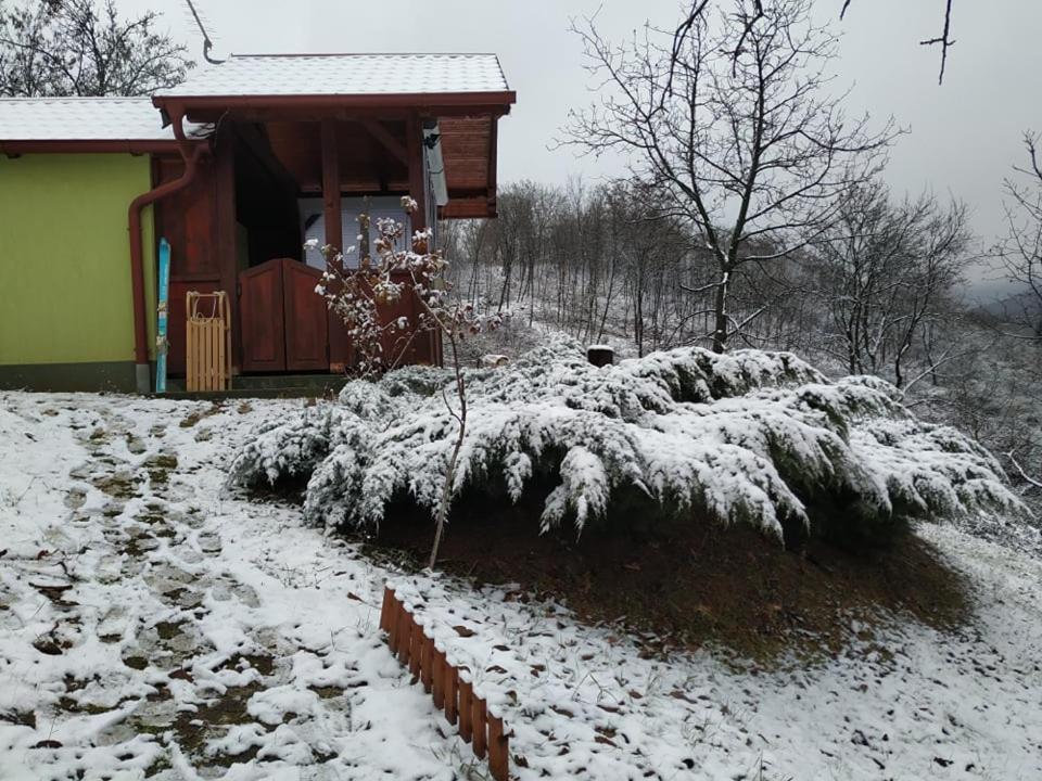 Holiday Home Nanin Konak 2 Vrdnik Exteriör bild