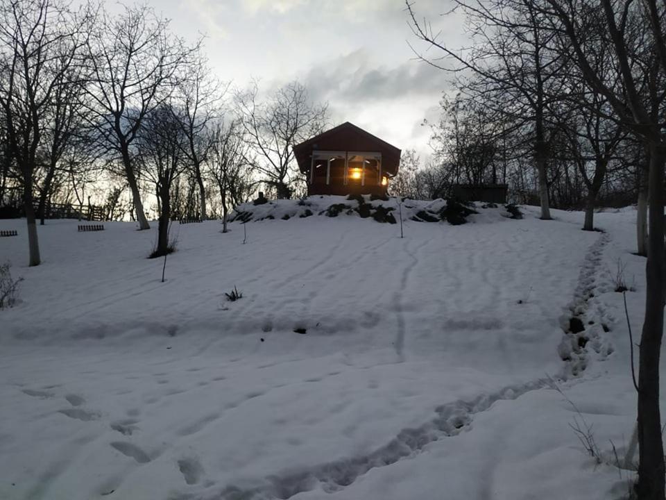 Holiday Home Nanin Konak 2 Vrdnik Exteriör bild