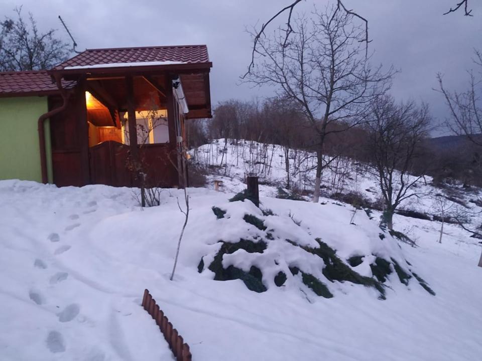 Holiday Home Nanin Konak 2 Vrdnik Exteriör bild